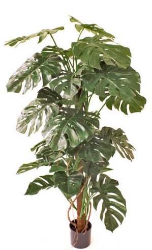Monstera, konstgjord grön växt, 165cm
