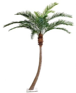 Phoenix canarie palm, konstgjord -0