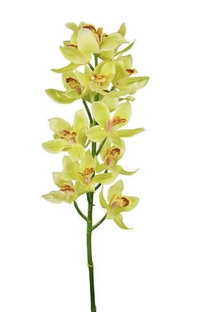 Cymbidium, orkidé, konstgjord blomma-0