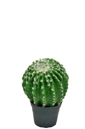 Kaktus, konstgjord-0