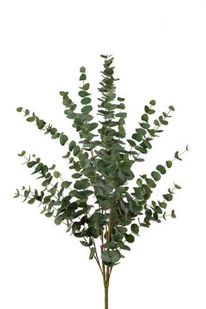 Eucalyptus, konstgjord kvist-0