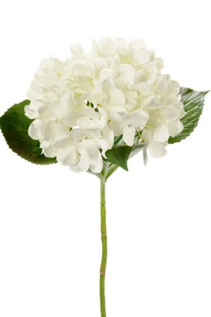 Hortensia, vit, konstgjord blomma-0