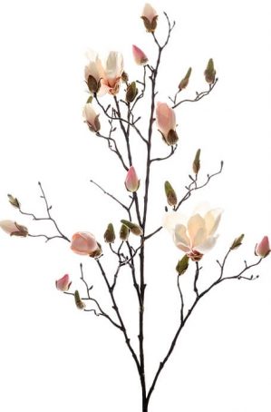 Magnolia, rosa, konstgjord blomma-0