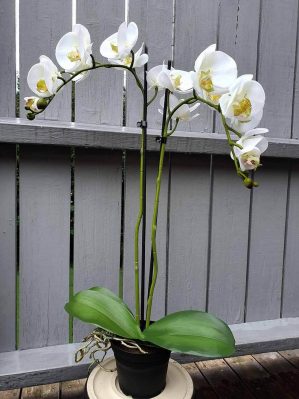 Orkidé i kruka, 2-stängel, vit, konstgjord-4615