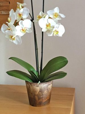 Orkidé i kruka, 2-stängel vit, konstgjord-0