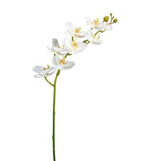 Orkidéstängel, vit, konstgjord-0