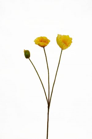 Vallmo, gul, konstgjord blomma-0