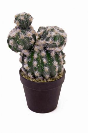 Kaktus, konstgjord-0