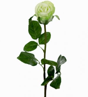 Ros, vit, lime, konstgjord blomma-0