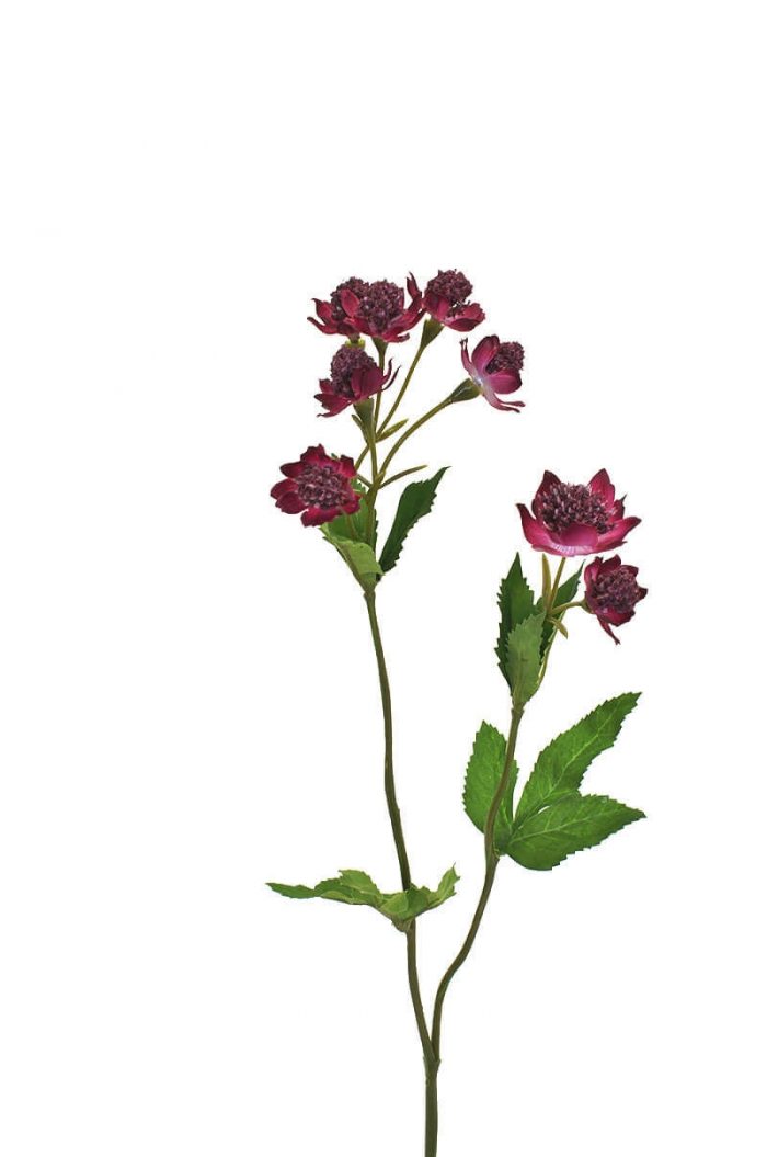 Stjärnflocka, lila, konstgjord blomma-0
