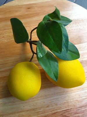 Citroner på kvist, konstgjorda-0