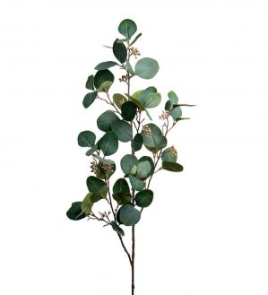 Eucalyptus med bär, konstgjord kvist-0
