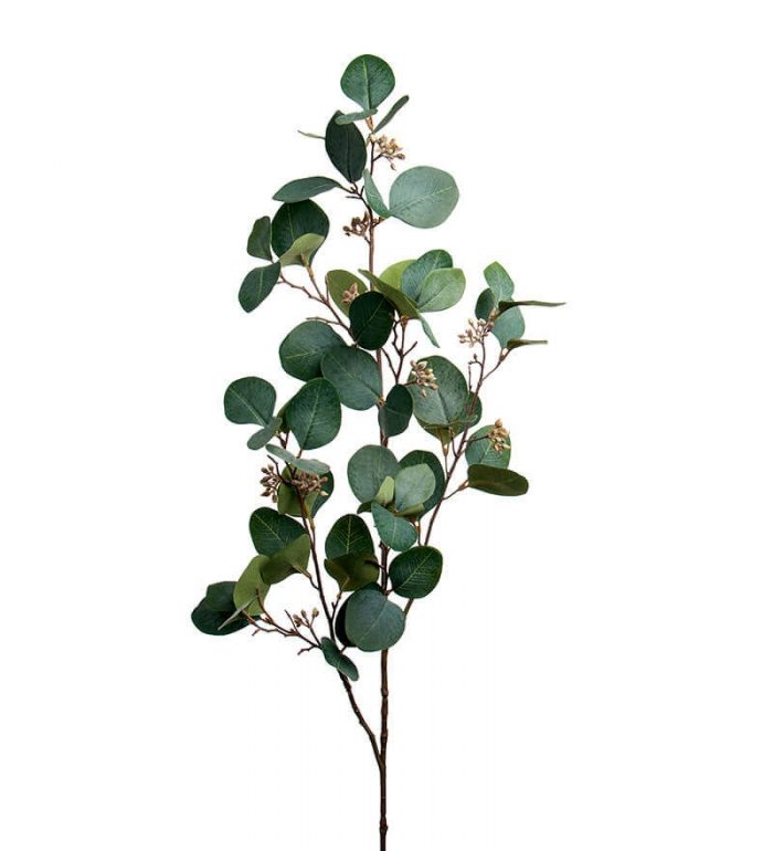 Eucalyptus med bär, konstgjord kvist-0