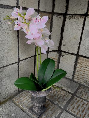Orkidé i pokalkruka, konstgjord-0