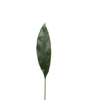 Blad, aspidistra, konstgjord växt, blomma-0