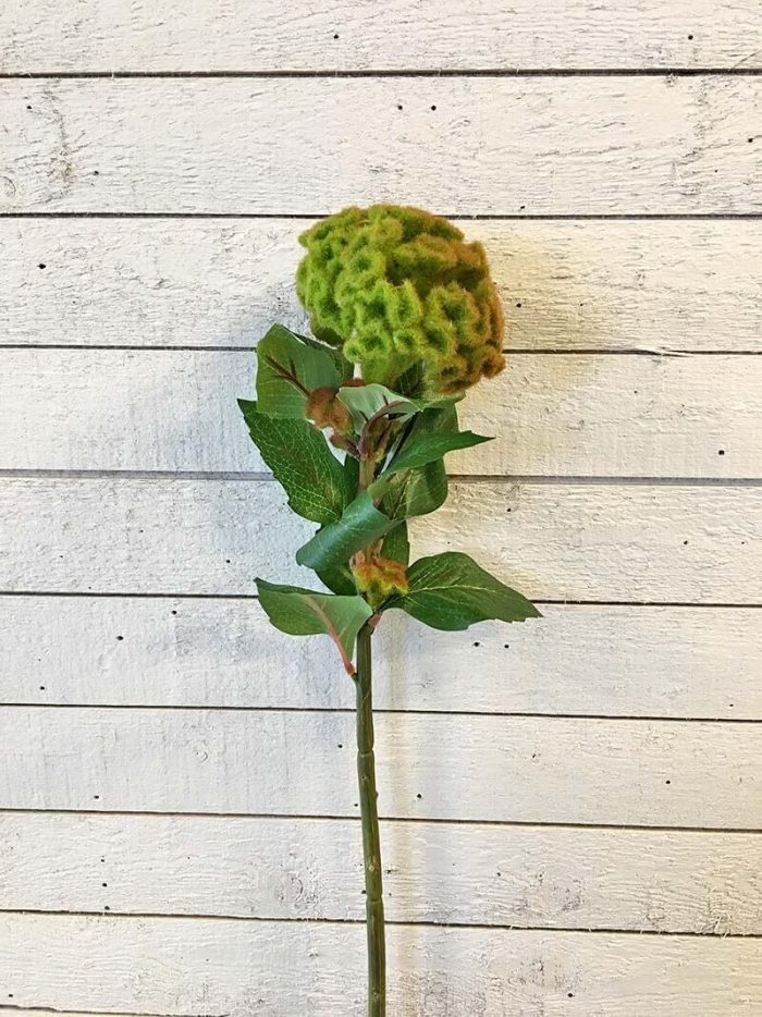 Celosia kvist, konstgjord blomma-0