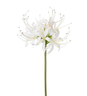 Nerine, vit, konstgjord blomma-0