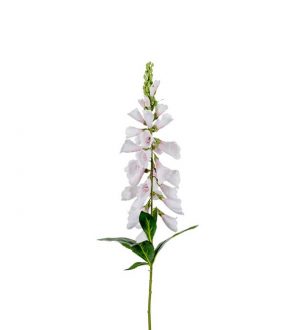 Fingerborgsblomma, vit, konstgjord blomma-0