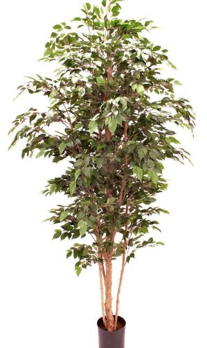 Ficus natasja, konstgjord-0