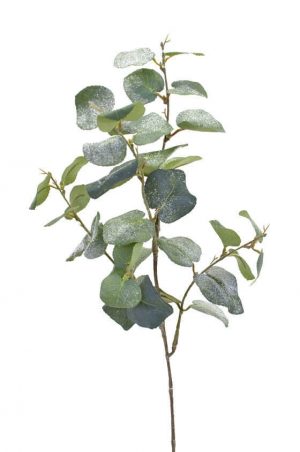 Eucalyptus med is, konstgjord kvist-0