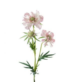 Scabiosa, rosa, konstgjord blomma-0