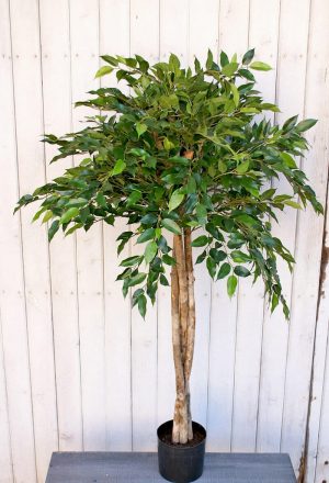 Ficus Natasja uppstammad, konstgjort träd-0