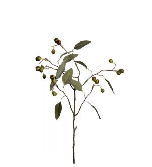 Eucalyptus med bär, konstgjord kvist-0