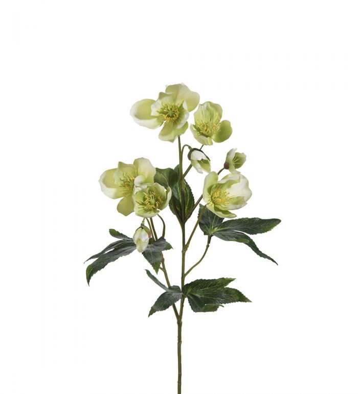 Julros, lime creme, konstgjord blomma-0