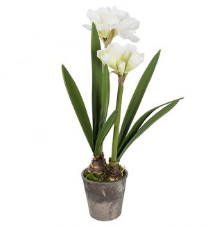 Amaryllis i kruka, vit, konstgjord-0