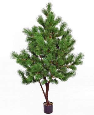 Tall, Pinus, konstgjort-0