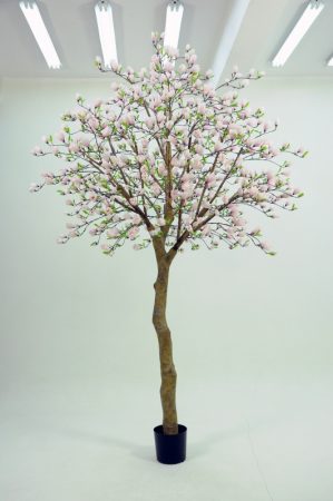 Magnolia träd 350cm-0