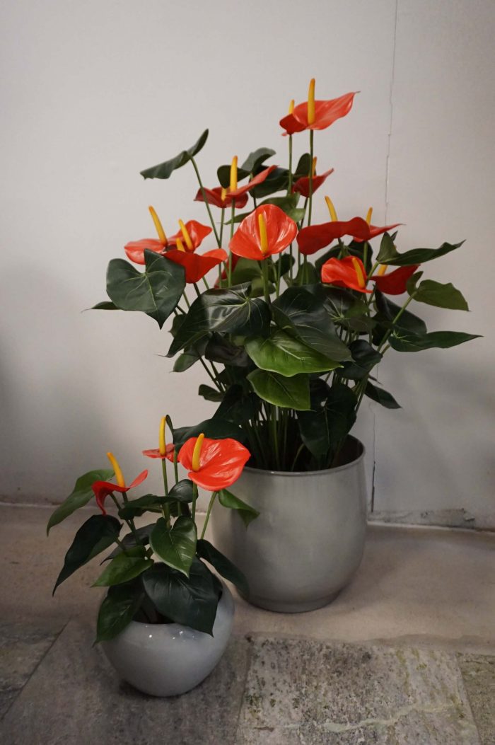 Anthurium, flamingo, röd, konstgjord krukväxt-0