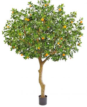 Apelsinträd, grenat, konstgjort träd-0
