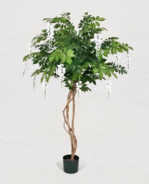 Blåregn, wisteria träd, konstgjort-0