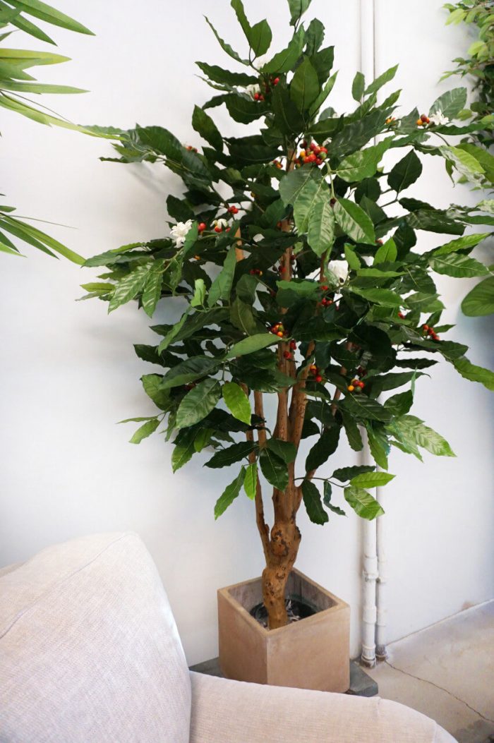 Kaffeträd med blommor och bär, konstgjort, 140cm
