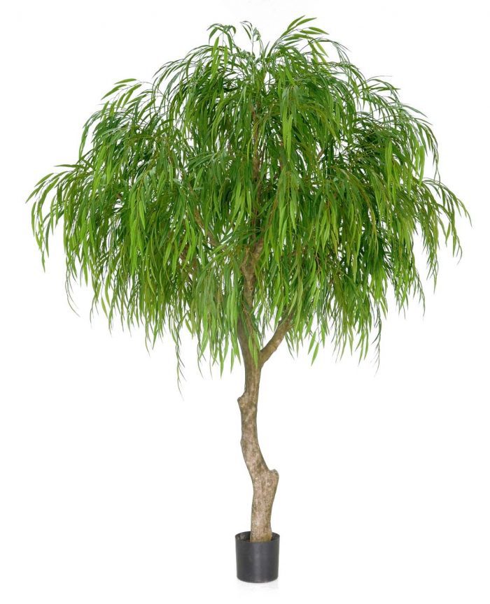 Tårpil, Weeping willow tree, konstgjort-0