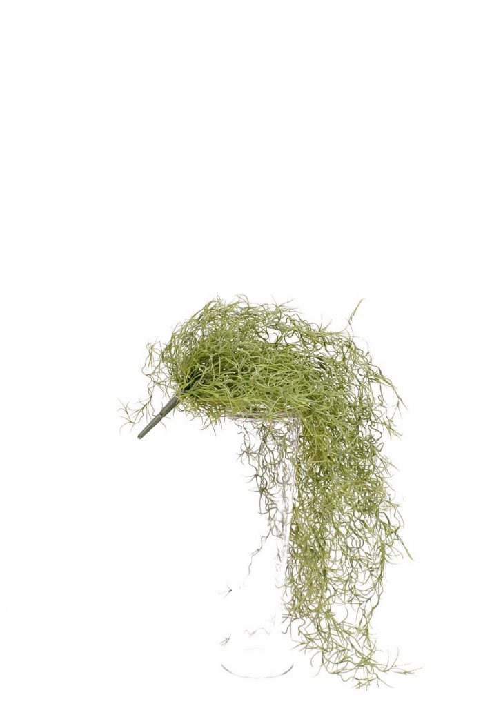 Tillandsia, spansk mossa, konstgjord-0