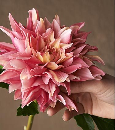 Naturtrogen Real Touch-blomma