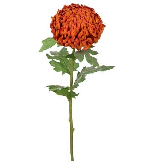 Chrysanthemum orange, konstgjord blomma-0