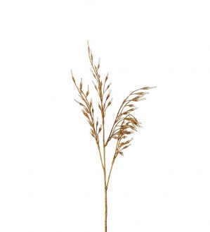 Gräs, sandbruna havreliknande ax, konstgjort-0