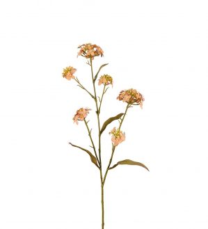 Blomster Iberis, konstgjord torkad blomma-0