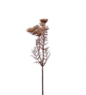 Trachelium, beige, konstgjord blomma-5983