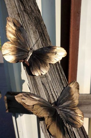 Fjäril, stor, 2 pack, skiftande från svart/brunt till guld-6100
