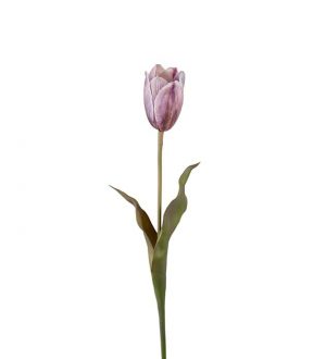 Tulpan, fransk tulpan, konstgjord blomma-0