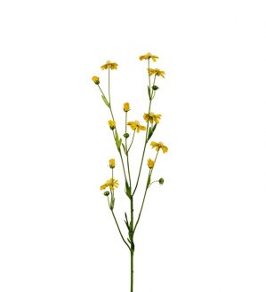 Rosenskära, cosmos, gul småblommig konstgjord blomma-0