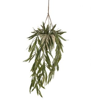 Bladkaktus, Rhipsalis, hängande konstgjord växt-0