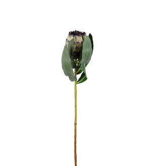 Protea, grön, konstgjord blomma-0