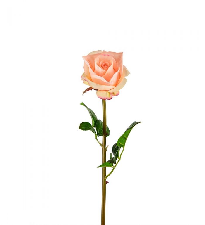 Ros, aprikos, konstgjord blomma-0