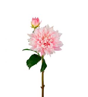 Dahlia, Real touch, ljusrosa, konstgjord blomma-0