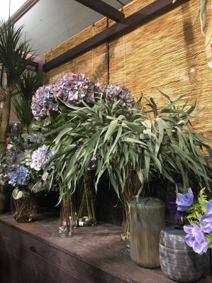 Eucalyptus med långa blad, viminalis, konstgjord kvist-0